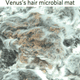 Los pelos de Venus. CRG Marine Geosciences